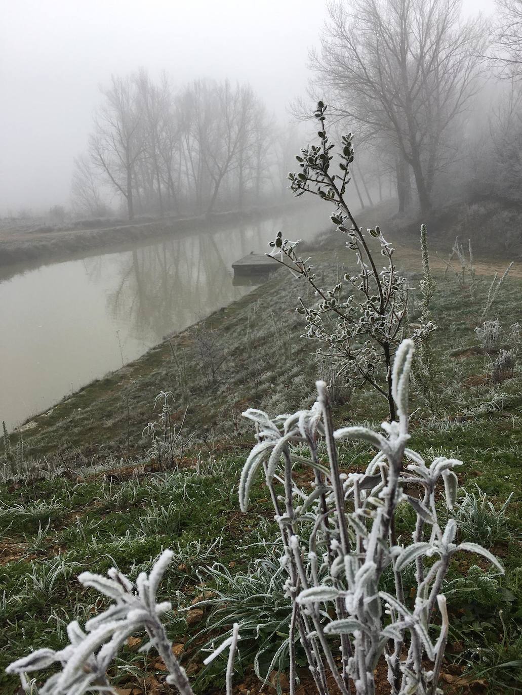 Cencellada en Medina de Rioseco el primer día de 2020