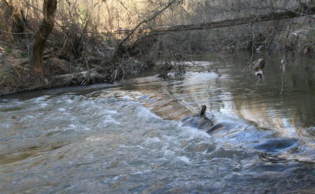 Río Cega amenazado