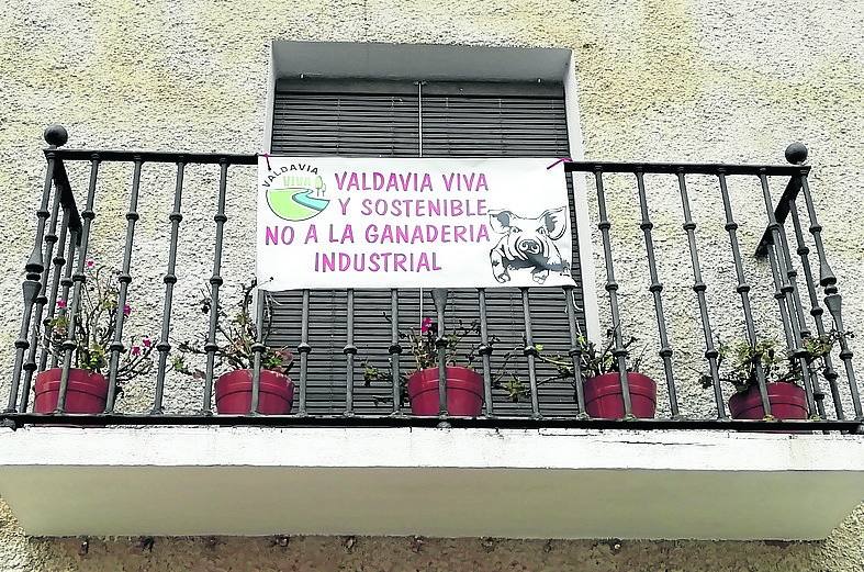 Desisten de la construcción de la granja de porcino de Castrillo de Villavega