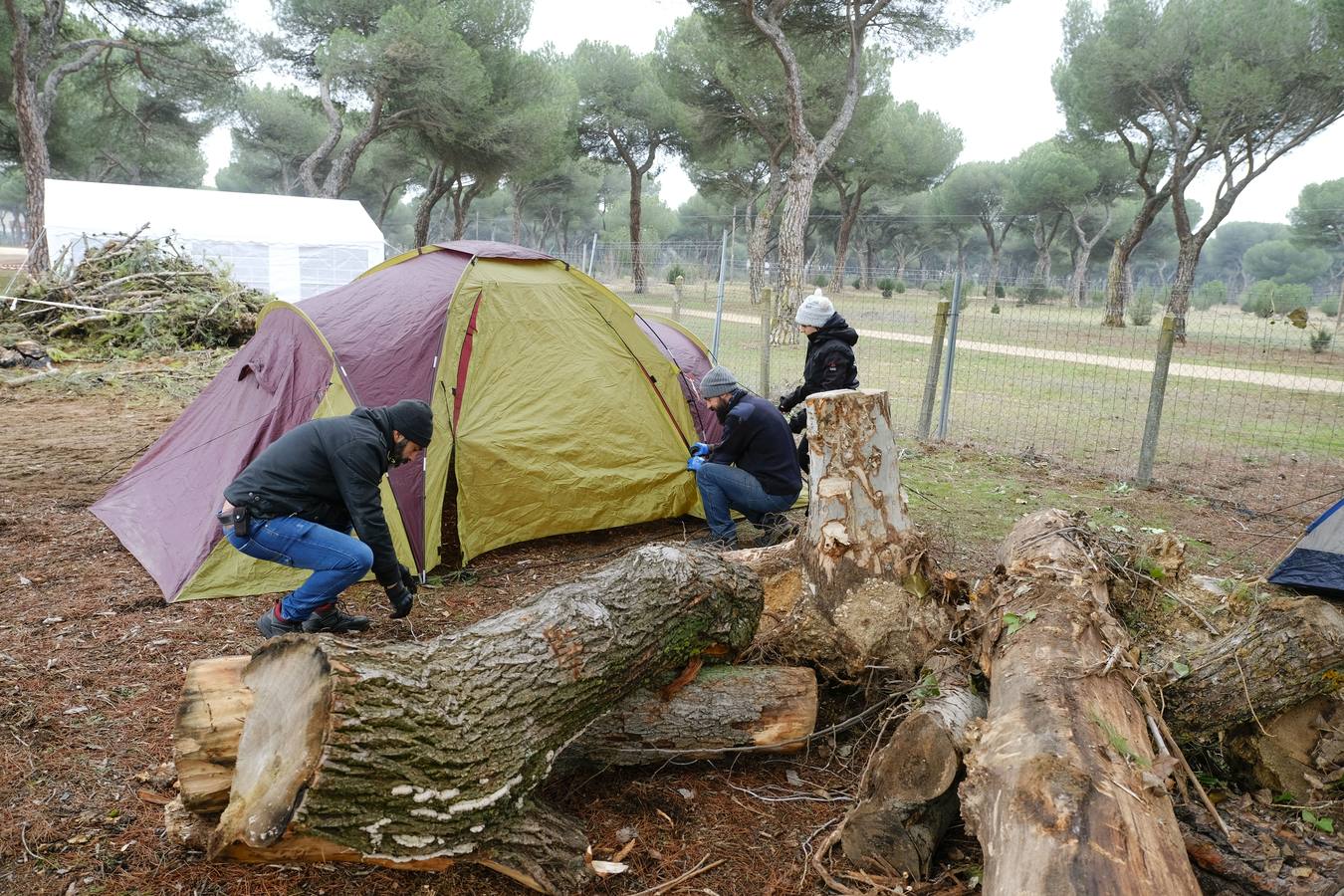 Preparativos para la inminente llegada de los Pingüinos