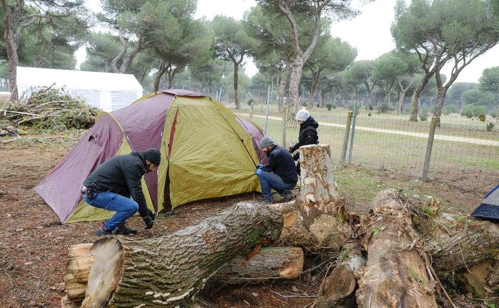 Guía de Pingüinos para novatos y veteranos