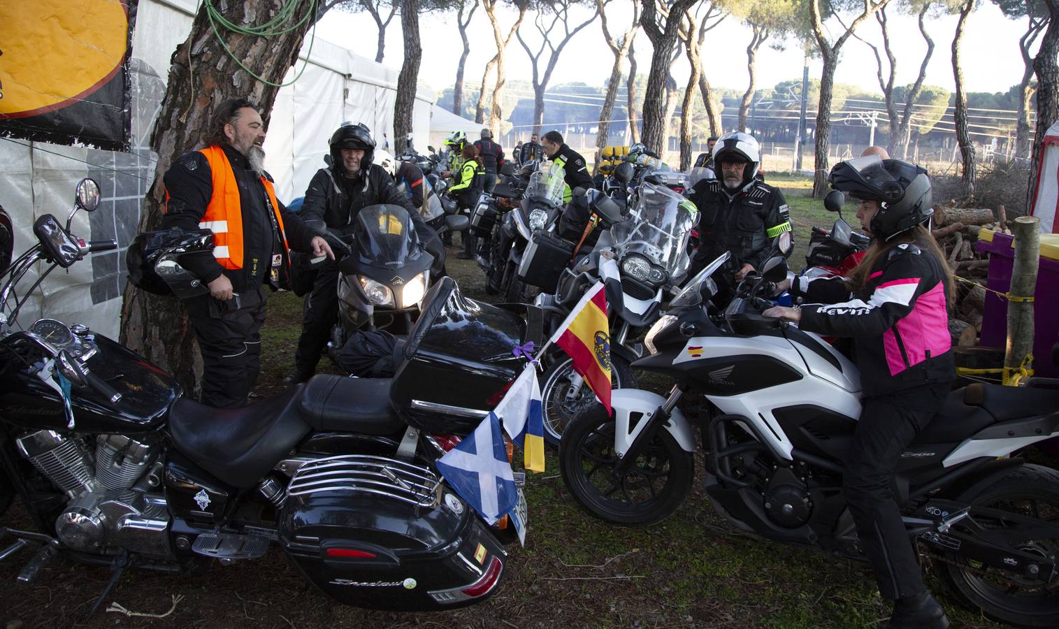 Los primeros pingüinos llegan a Valladolid