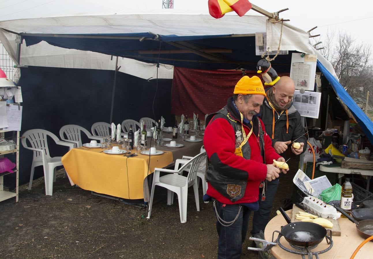 Los pingüinos se asientan en la zona de acampada de la antigua Hípica