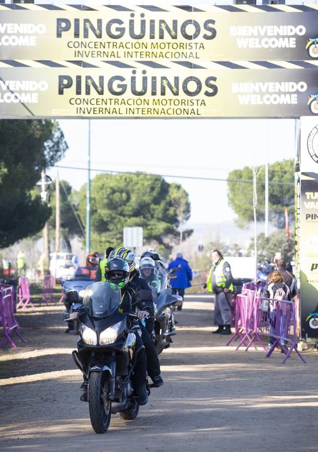 Jornada del viernes en la concentración de Pingüinos