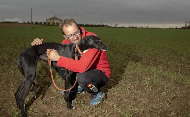 Los dieciséis mejores galgos del país se citan a partir de hoy en Madrigal de las Altas Torres