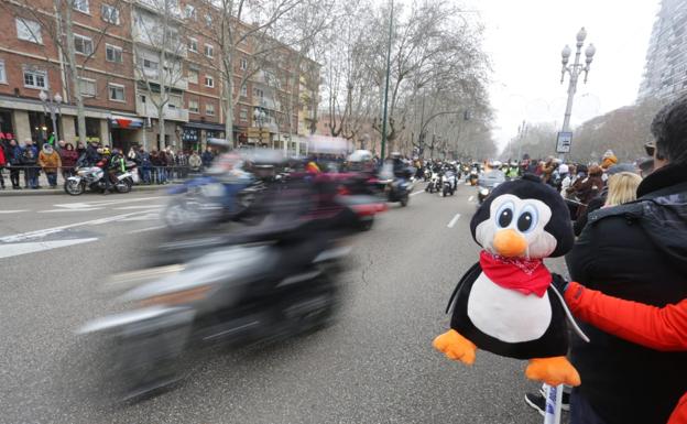 Valladolid recibe entre aplausos a los pingüinos en el desfile de banderas