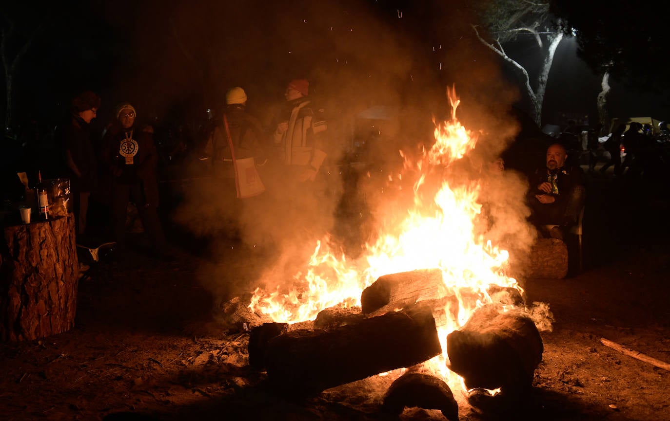 Noche del sábado en Pingüinos