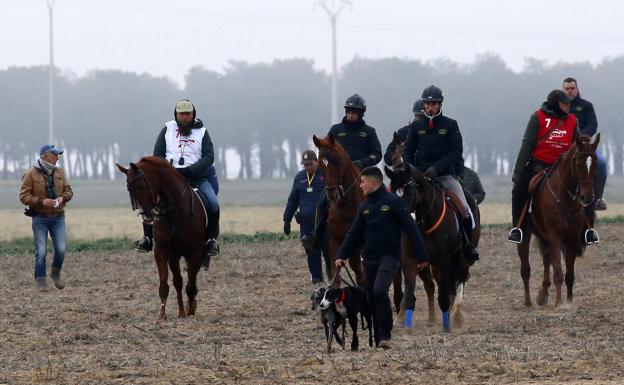 Las malas previsiones meteorológicas obligan a modificar el calendario del Nacional de Galgos en Campo