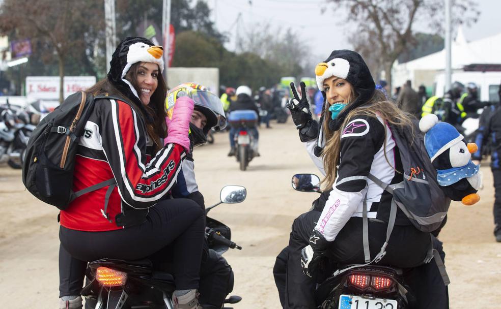 La trastienda de Pingüinos: maldita sea la suerte