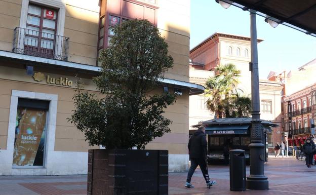 Una de cada cuatro casas de apuestas de Valladolid se sitúa en los barrios de menor renta