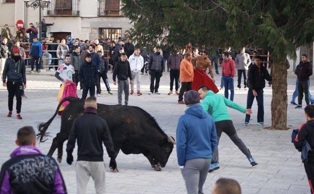 Villacastín espera este sábado a más de 2.000 personas en su tradicional suelta de novillos