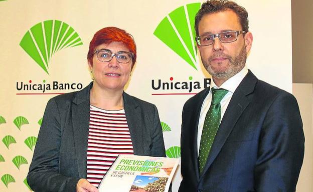 Segovia y Soria liderarán en 2020 el crecimiento en la región, según vaticina Unicaja Banco
