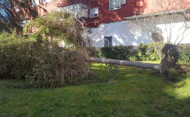 Varios municipios de la provincia de Valladolid se quedan sin luz a causa del temporal