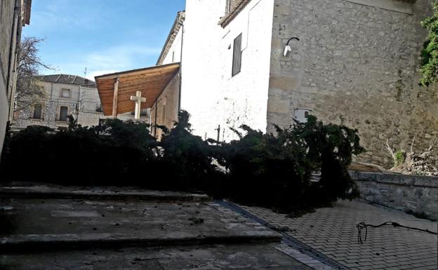 El viento derriba un árbol junto a la iglesia de Olombrada minutos después de que comenzara la misa