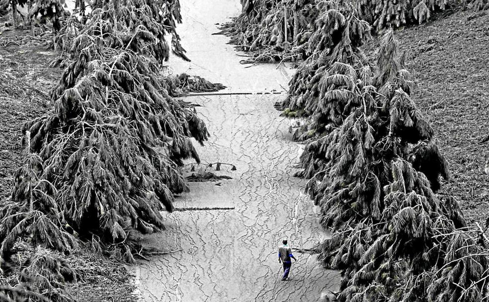 Desolación en blanco y negro