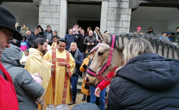 Las mascotas de Valsaín se ganan el cielo