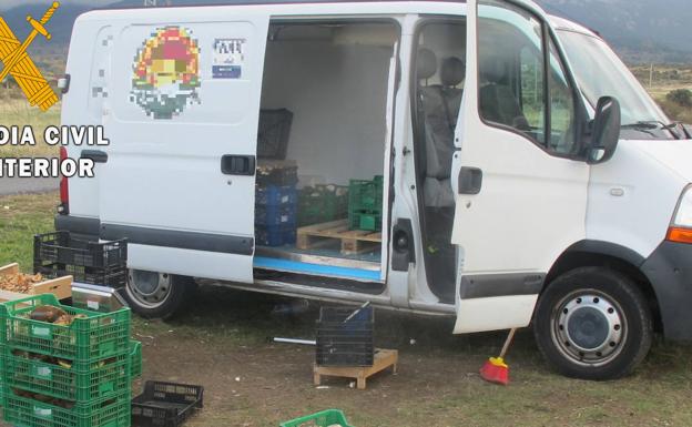 El Seprona de Segovia decomisa 365 kilos de setas en la última campaña micológica