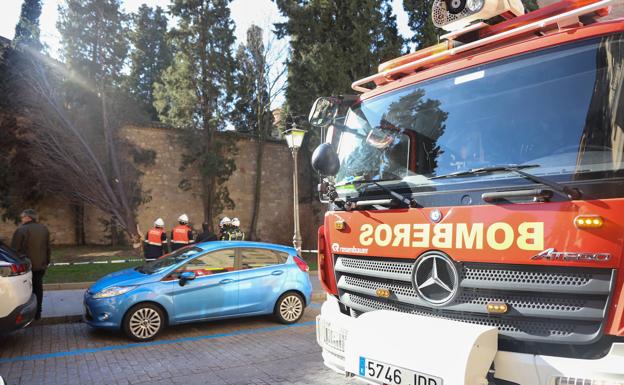 El temporal Gloria obliga a salir 47 veces a las bomberos y anticipa una semana gélida