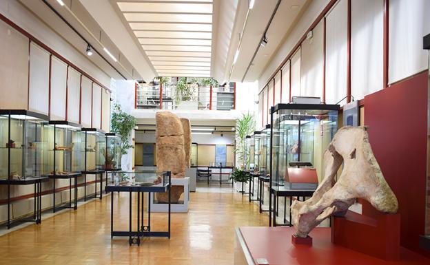 Las visitas al Museo Numantino y centros dependientes se incrementaron en 2019 casi un 5%