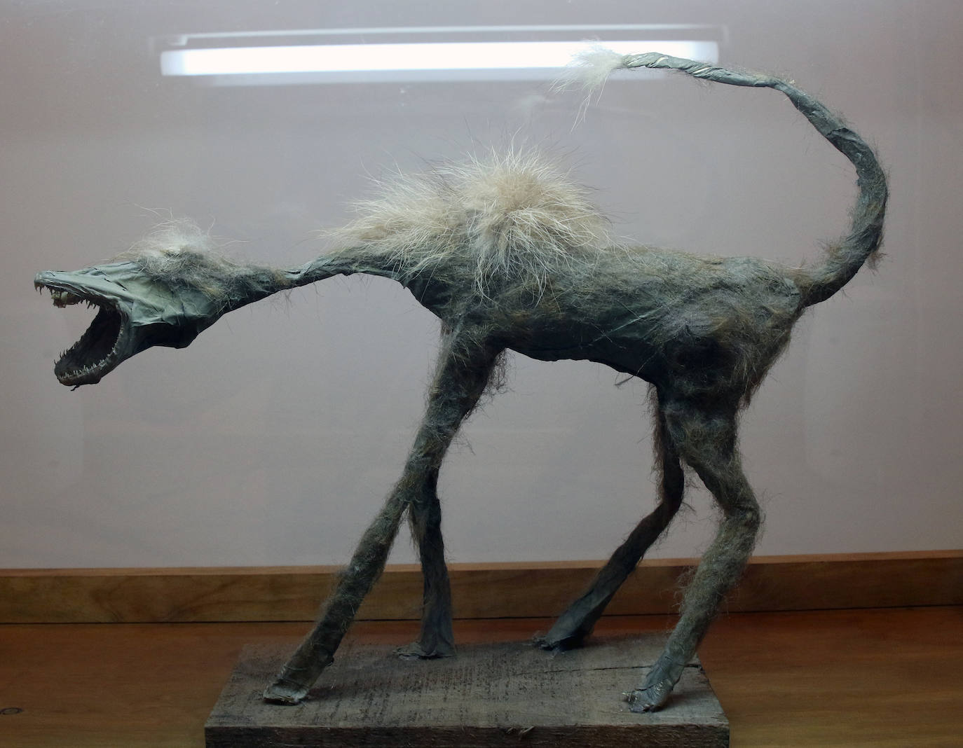 El proyecto 'Semillero de arte' en el Museo Esteban Vicente