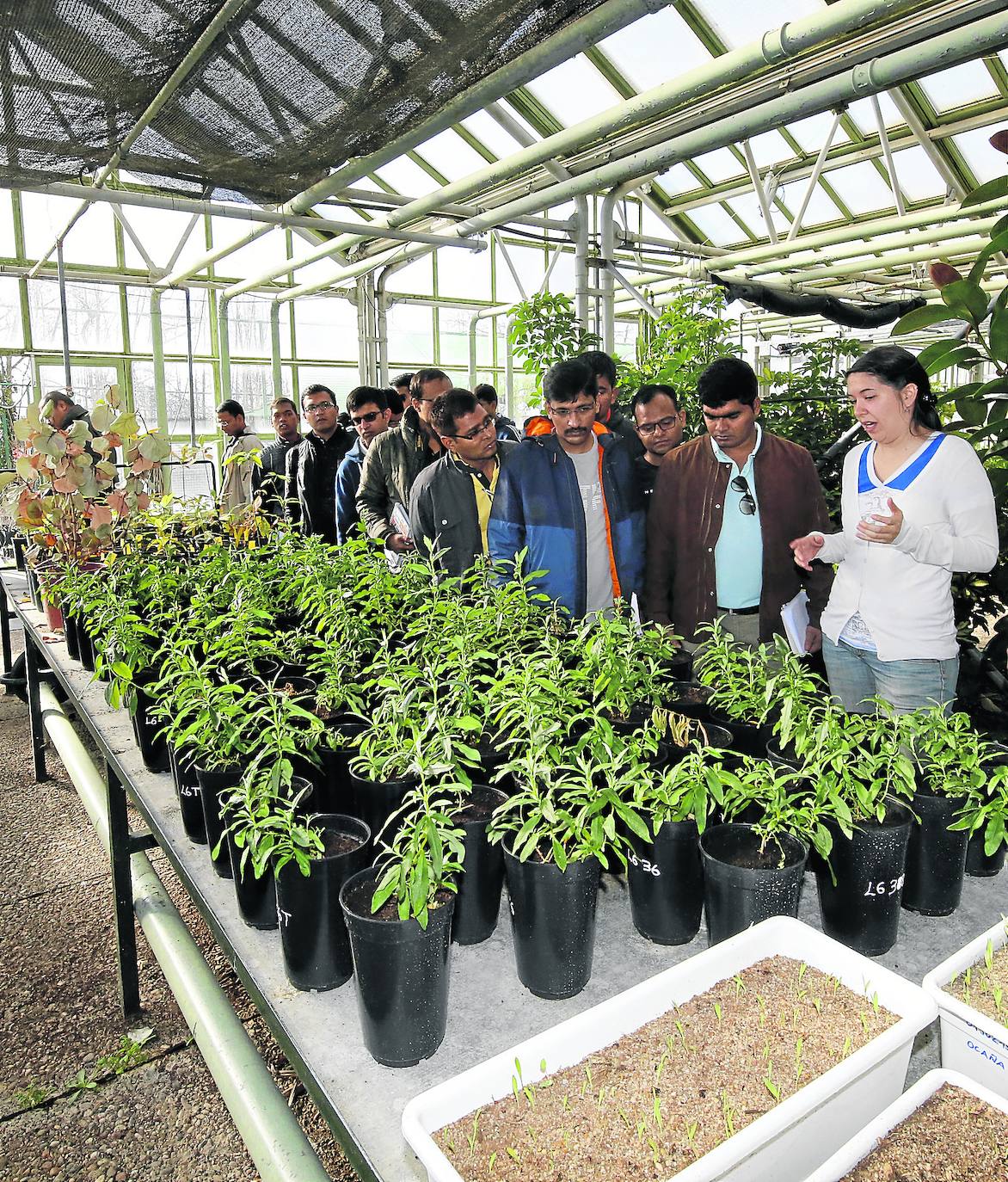 La Escuela Agraria de Palencia lanza al mercado a 1.400 titulados en ocho años