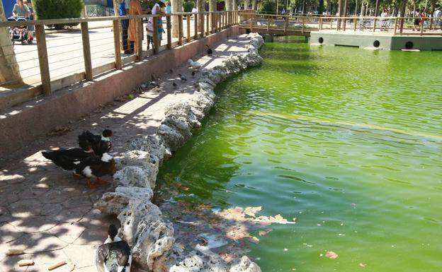 El Ayuntamiento realiza hoy la limpieza del fondo del estanque de La Alamedilla