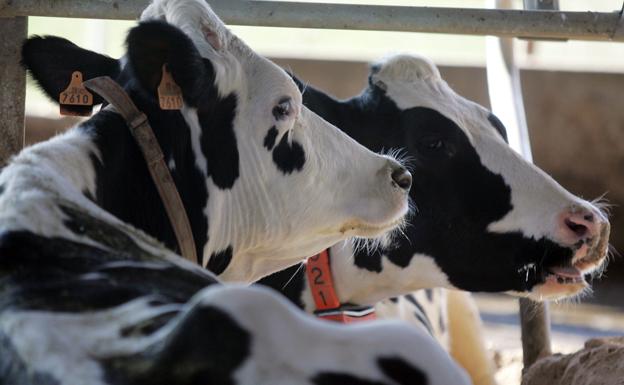 El Movimiento por la Sanidad Pública de Zamora muestra su apoyo a las reivindicaciones del campo