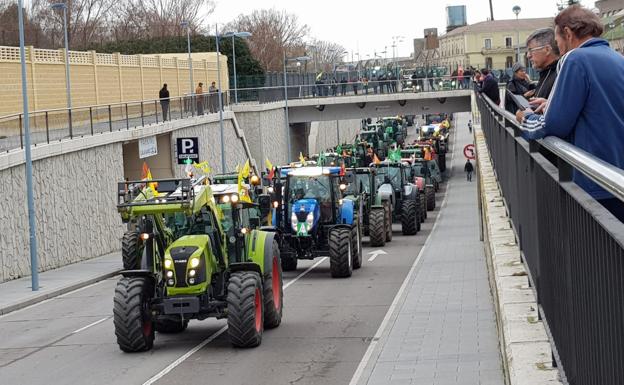 Unas 3.000 personas con 300 tractores recorren las calles de Salamanca para pedir apoyo para el campo