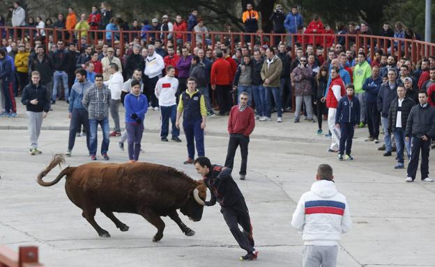 Planes imprescindibles para este fin de semana en la provincia de Valladolid