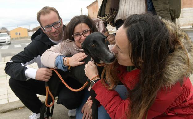 La galga de Matapozuelos Liosa de Clemente se alza con el Campeonato Nacional