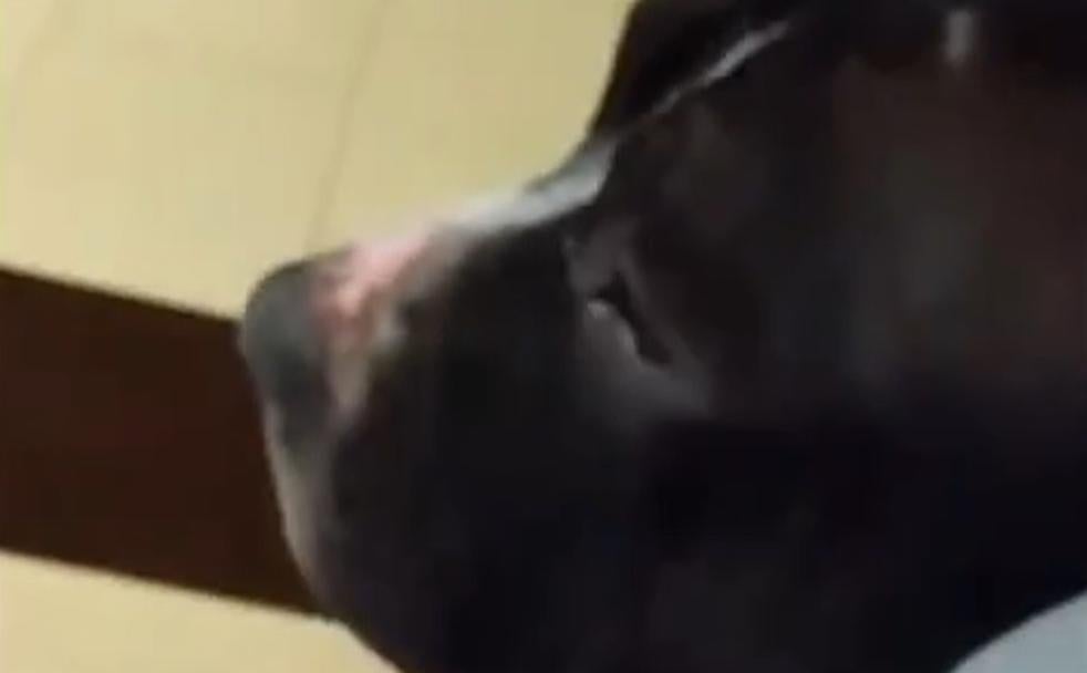 Una segunda oportunidad para 'Tanqueta'