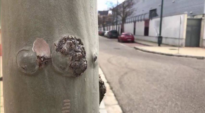 Descubre el nombre de esta calle de Valladolid