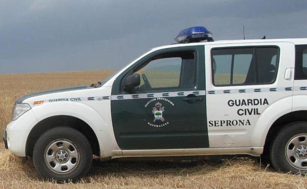 Investigado como presunto autor de un incendio en Candeleda