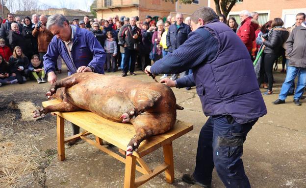 Palazuelo de Vedija festeja los 25 años de su fiesta de la matanza