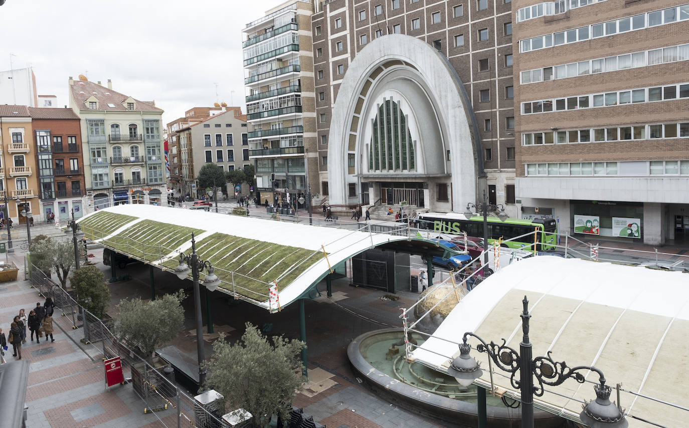 Las letras más verdes de Valladolid, en el lugar más fotografiado de la ciudad