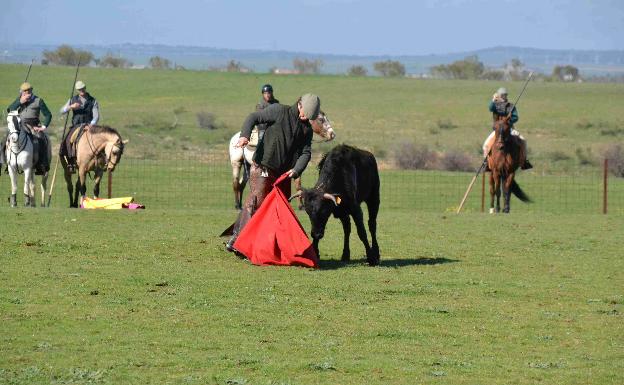 Juli, Perera, Capea y Garrido tientan a campo en Ciudad Rodrigo