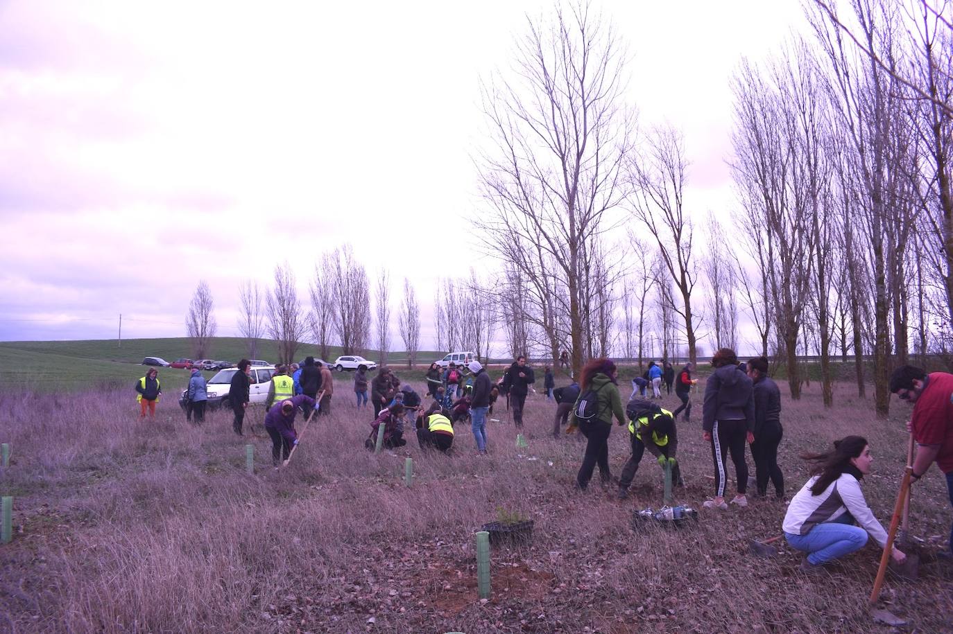 La replantación de Villacid y Cuenca de Campos