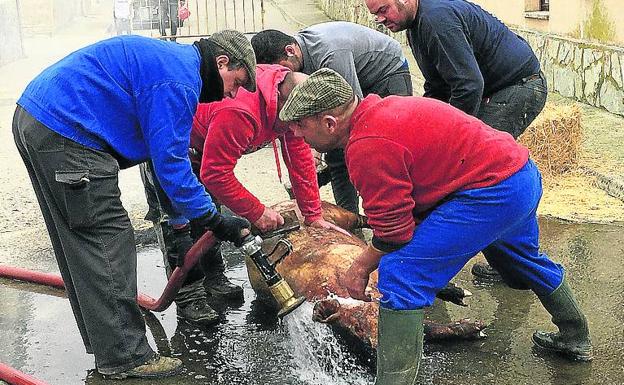 Robladillo revive la tradición con la fiesta de la matanza