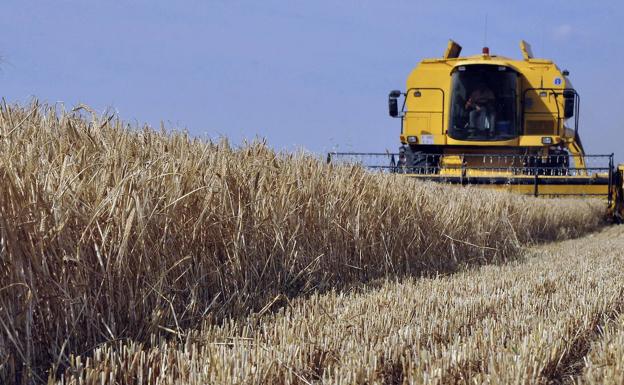 El Pleno de la Diputación subraya su apoyo a los agricultores y ganaderos y reclama el impulso al sector
