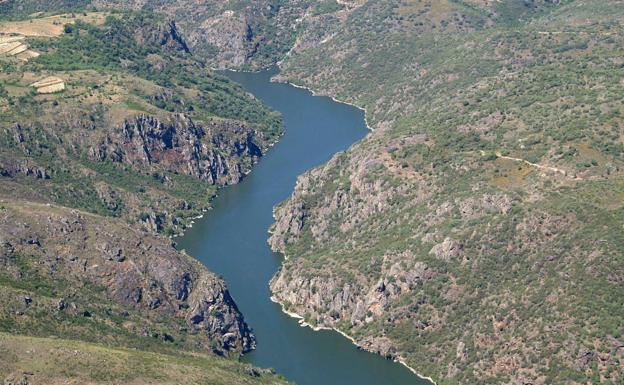 Ecologistas piden reducir la «contaminación» por glifosato, «de alta toxicidad», en la Cuenca del Duero
