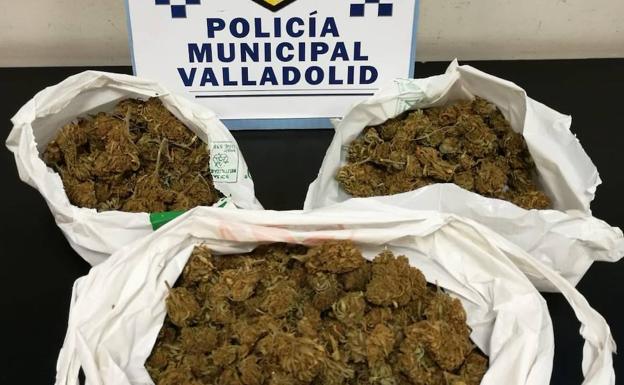 Detenido en Valladolid con 276 gramos de marihuana e intervenida una pistola 'taser'