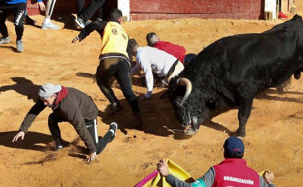 Tres heridos en los encierros de Ciudad Rodrigo, con una mujer trasladada al hospital tras una caída