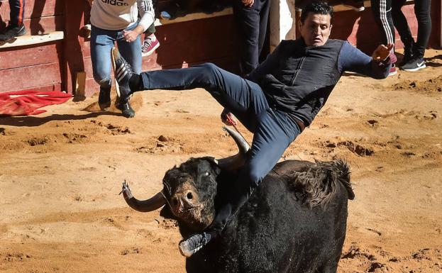 Entretenida capea dominical con un maletilla herido por asta