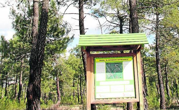 Villa y Tierra prevé recaudar 215.000 euros por la madera de sus montes