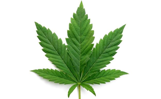 Tampones de marihuana para aliviar los dolores menstruales