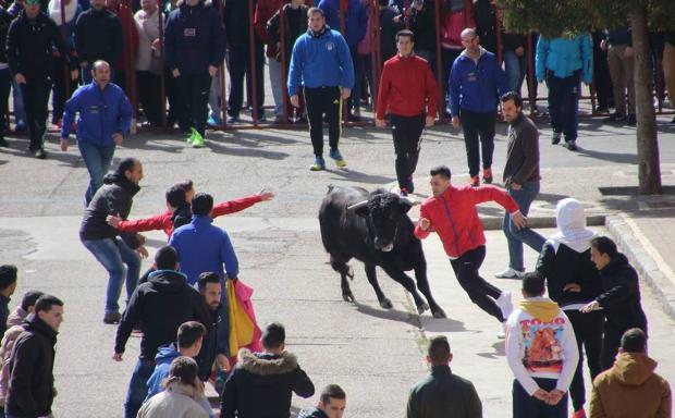 Planes imprescindibles para este fin de semana en la provincia de Valladolid