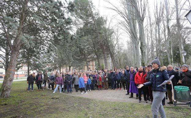 Ecologistas en Acción pide información en Europa sobre la remodelación de Jardinillos en Palencia