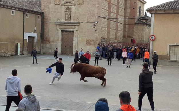 El Toro de Carnaval de Rioseco vuelve a reunir a miles de aficionados