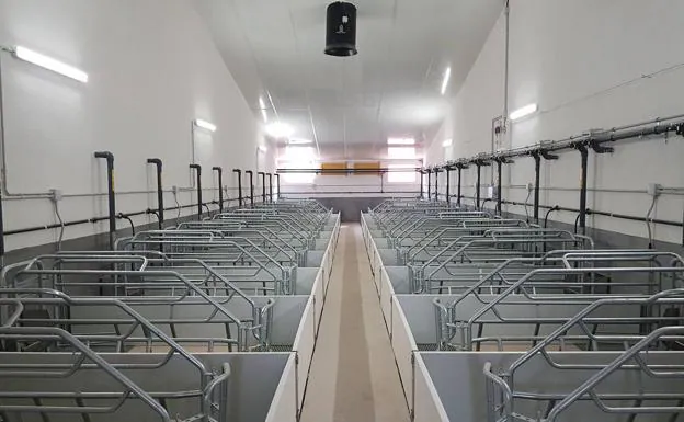 Una empresa proyecta trece granjas con 80.000 cerdos en la zona del Boedo-Ojeda, en Palencia