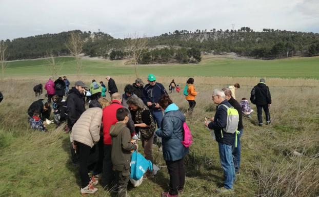 Mucientes planta 4.000 bellotas contra la desertificación
